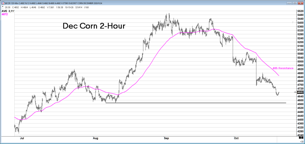 dec corn